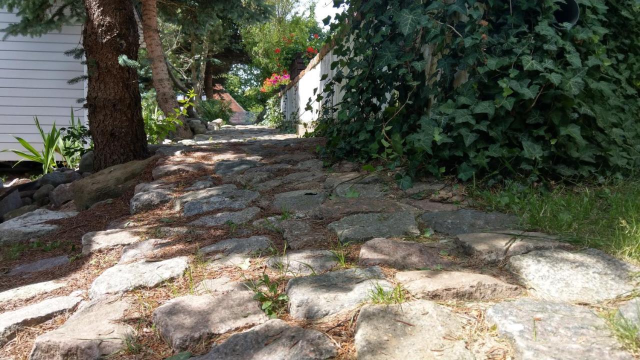 Kamien Baltyku Domki Debina  Εξωτερικό φωτογραφία